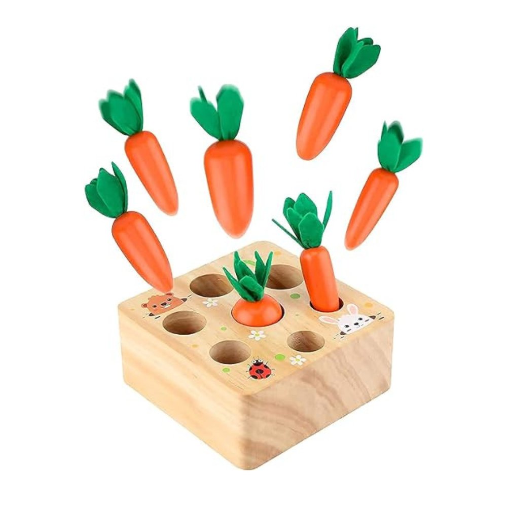 Carrot Harvest Educational Toy - Cute Cubs